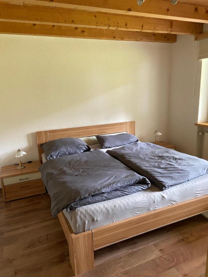 Ferienwohnung Im Herzen Graubuendens Surava Exterior photo